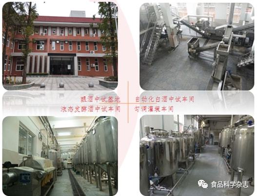 湖北工業大學食品科學與工程專業 生物工程與食品學院的卓越基石